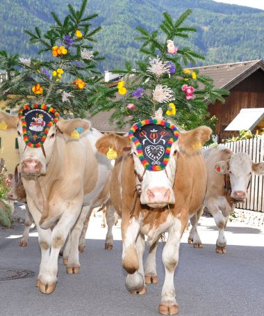 Almabtrieb im Lungau